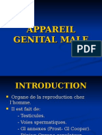 Appareil Genital