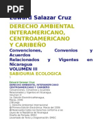 Derecho Ambiental Edward Salazar Cruz