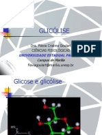 GLICOLISE.pdf
