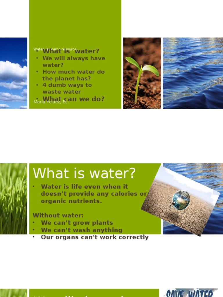 Save Water: Simple Actions Matter | PDF