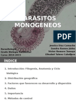 Presentación Monogeneos