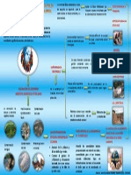 Infogrexiones Sobre El Papel de La Ingeniería Civil en La Evolución Del Medio Ambiente en Colombia