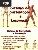 Sistema de Sustentação