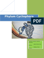 Phylum Cycliophora