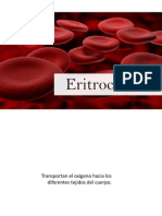 Eritrocitos: Transporte de oxígeno y membrana celular
