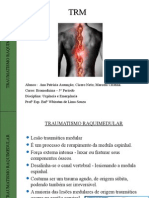 Trabalho Sobre TRM