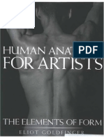 Human Anatomy for Artists