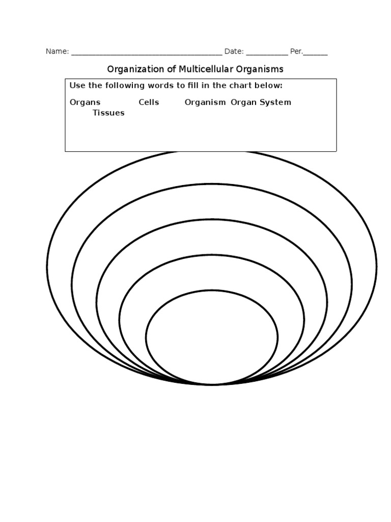 Organization of Multicellular Life | PDF | Computers