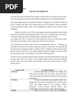 Download Teks exemplum by Tofa Tik SN277951065 doc pdf