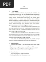 Download Proposal Penelitian Rosella-Tanin Full by Hilmi Nurhidayat SN277991839 doc pdf