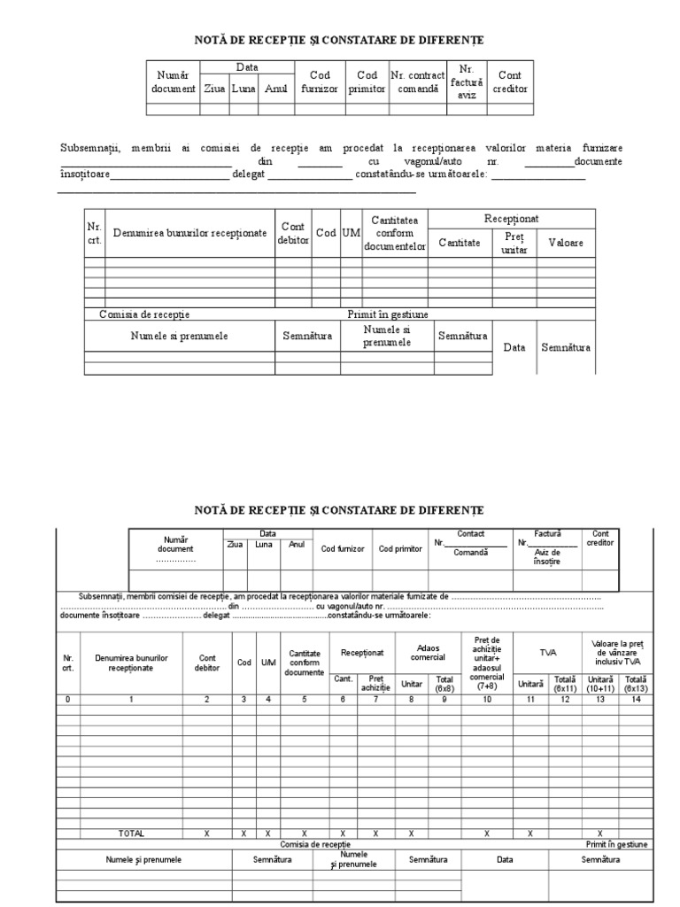 05 Formular Nir in Word | PDF