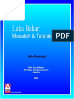 Luka Bakar PDF