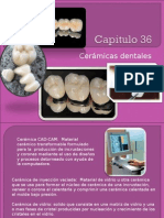 Ceramicas Dentales