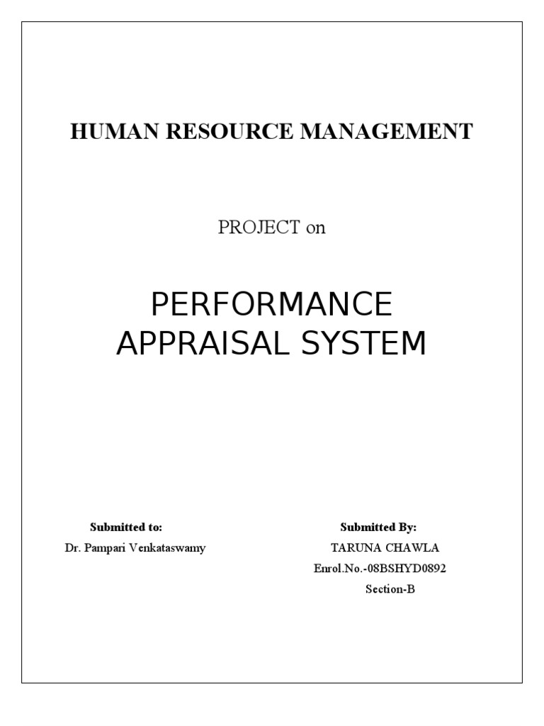 Performance Appraisal System Overview | PDF