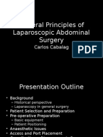 General Principles of Laparoscopic Surgery