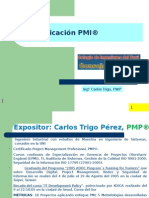 CertificacionPMI_Carlostrigo