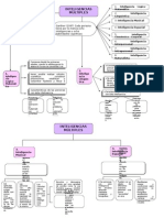 Mapa Conceptual de Inteligencias Multiples