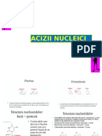 Curs Acizii Nucleici Fmam 2015 Final