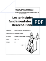 Caratula Del Derecho Penal General 2