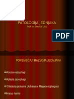 Patologija Jednjaka I Zeluca 2014
