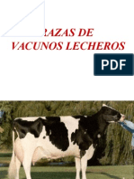 Razas Vacunos Lecheros I.ppt