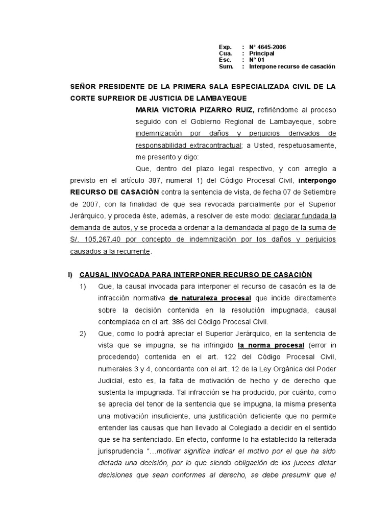 modelo-de-recurso-de-casaci-n-juez-caso-de-ley
