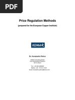 Download Price Regulation Paper by Fernando Nuno SN27815885 doc pdf