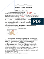 Download 2103 Cell Membrane Coloring Worksheet KEY by Joann Marie Alicbusan SN278160880 doc pdf