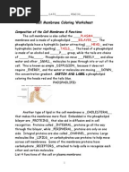 Printables Cell Membrane Coloring Worksheet Answers 2103 cell membrane coloring worksheet key