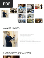 Carta de exposición de motivos diplomado