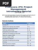 Primavera (P5) Project Management Introductory Tutorial