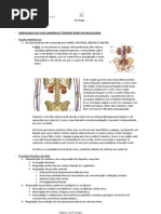Urologia - Resumo Completo
