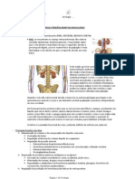 Urologia - Resumo Completo