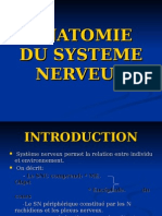 s1 Anatomie Du Systeme Nerveux (2)