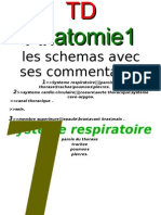 Schemas d Anatomie Avec Ses Commentaires