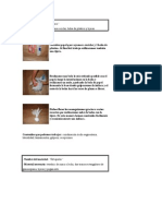 Elaboracion de Indiaca