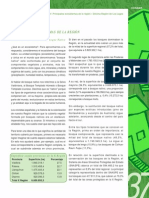 Bosque PDF
