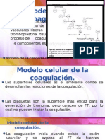 Modelos de La Coagulación