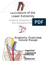 Peripherial Arterial Disease