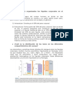 Tarea 3 Liquidos Corporales