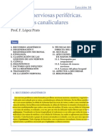  Lesiones Sistema Nervioso Periferico