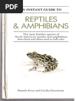 Download Guide to Reptiles  Amphibians by notengomasde SN278370872 doc pdf