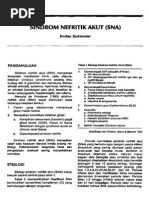 Download 5 SINDROM NEFRITIK AKUTpdf by Abu Tex Zikri SN278393958 doc pdf