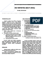 Sindrom Nefritik Akut PDF