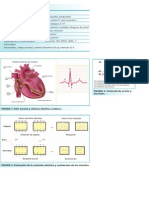 Ekg