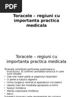 Toracele