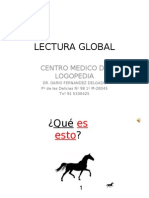 Lectura Global