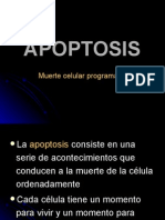 Apoptosis 2