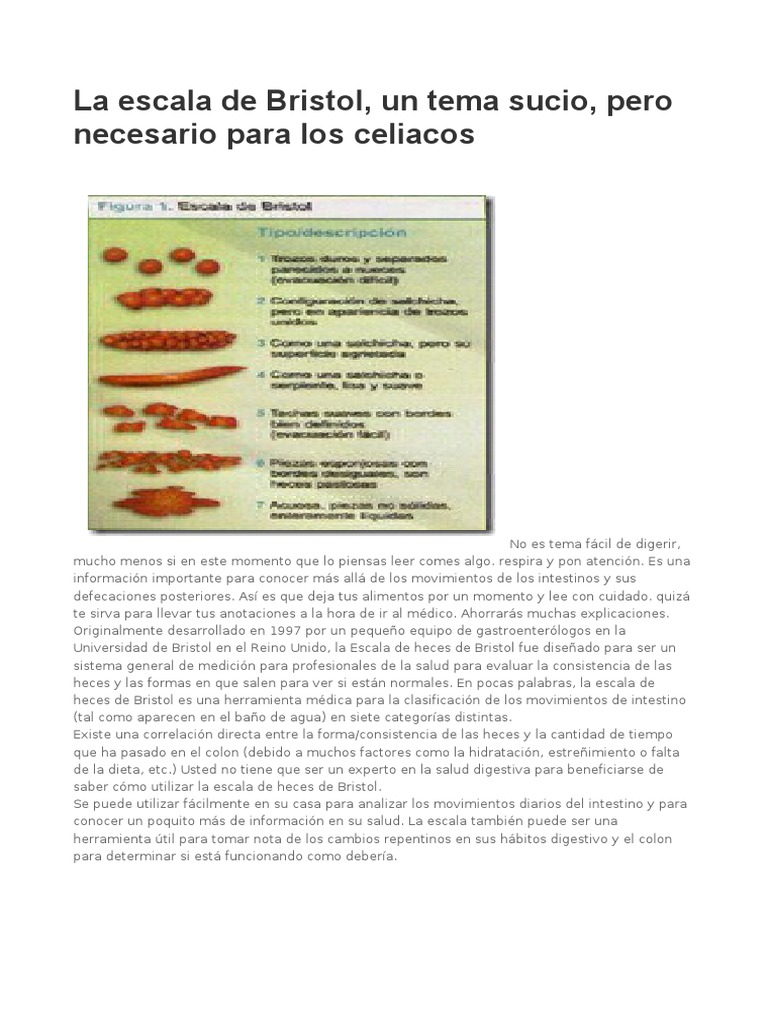 Escala de heces de bristol online
