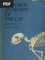 Cat Muscles - Origin, Insertion, Action | Foot | Vertebral Column